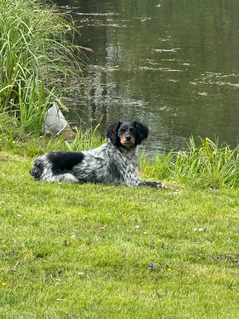 Upsie Du Hameau De L'hirondelle